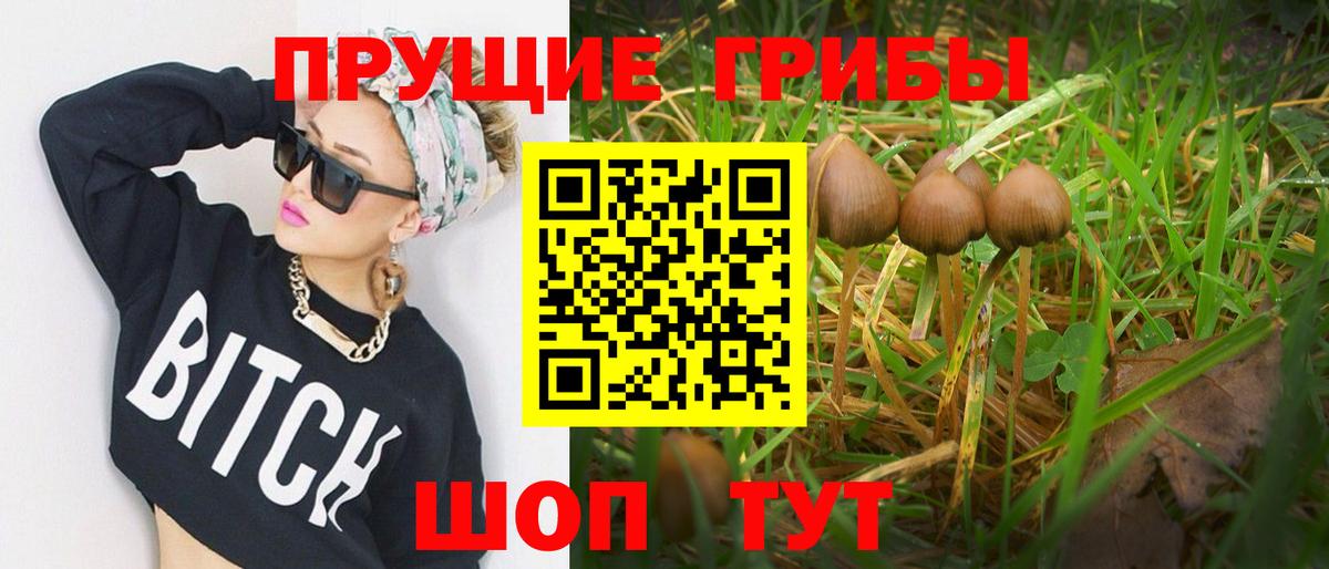 Псилоцибиновые грибы Cubensis Нижневартовск